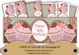 Pink Strawberry Cupcake 16th Birthday Large Dl Card Kit
