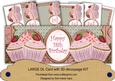 Pink Strawberry Cupcake 18th Birthday Large Dl Card Kit