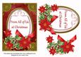 Red Poinsettia from All of Us Oval 7x5in Step by Step