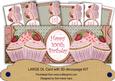 Pink Strawberry Cupcake 100th Birthday Large Dl Card Kit