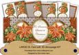 Borange Poinsettia Someone Special Large Dl Card Kit