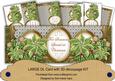 Olive Poinsettia Someone Special Large Dl Card Kit