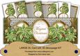 Olive Poinsettia Magical Christmas Large Dl Card Kit