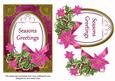 Cerise Poinsettia Seasons Greetings Oval 7x5in Step by Step
