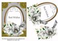 Silver Magnolia Best Wishes Oval 7x5in Step by Step