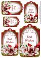 Red Magnolia Best Wishes Sentiment Tag Sheet