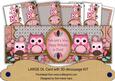 Pink Owls Twittwitawoo Birthday Large Dl Decoupage Card Kit