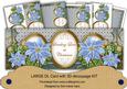 Pale Blue Poinsettia Love at Christmas Large Dl Card Kit