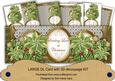 Olive Poinsettia Love at Christmas Large Dl Card Kit