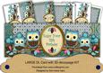 Blue Owls 13th Birthday Large Dl Card Kit