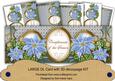 Pale Blue Poinsettia Compliments of Season Large Dl Card Kit