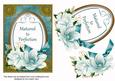 Teal Magnolia Matured Perfection Oval 7x5in Step by Step