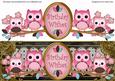 Pink Owls Black Birthday Wishes Large Dl Topper