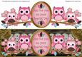 Pink Owls Black Special Day Large Dl Topper