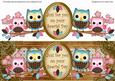 Blue Pink Owls Special Day Large Dl Topper