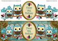 Blue Owls 14th Birthday Large Dl Decoupage Step by Step