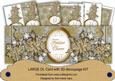 Silver Gold Flake Festive Cheer Large Dl Card Kit