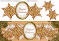 Peach Goldflake Magical Christmas Large Dl Topper