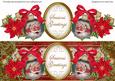 Father Christmas Bauble Seasons Greetings Large Dl Topper