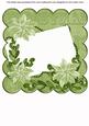 Olive Poinsettia Edge1 8in Scallop Card Insert Panel Sheet