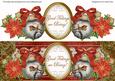 Red Robin Bauble Good Tidings Large Dl Topper