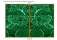 Dark Green Oriental Lily Pad 7x5 Cut and Fold Card