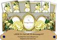 Lemon Rose in Vintage Prime! Large Dl Decoupage Card Kit