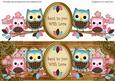Pink Blue Owls Sent with Love Large Dl Decoupage Topper