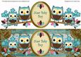 Blue Owls New Baby Boy Dl Decoupage Topper