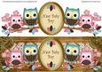 Blue Pink Owls New Baby Boy Dl Decoupage Topper