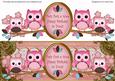 Blue Pink Owls Twit Twit a Woo Dl Decoupage Topper