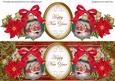 Father Christmas Happy New Year Large Dl Topper