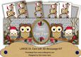 Silver Christmas Owls Happy New Year Large Dl Card Kit
