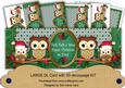 Green Owls Twittwitawoo Christmas Large Dl Card Kit