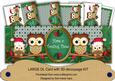 Green Christmas Owls Have a Tooting Time! Large Dl Card Kit