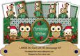 Green Christmas Owls Christmas Wishes Large Dl Card Kit