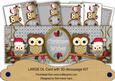 Silver Christmas Owls Christmas Wishes Large Dl Card Kit