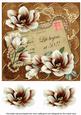 Chocolate Magnolia Life Begings at 50! 8in Decoupage Topper