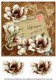 Chocolate Magnolia Life Begings at 60! 8in Decoupage Topper