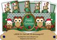 Green Christmas Owls Happy Christmas Large Dl Card Kit