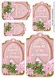 Pastel Pink Poinsettia from All of Us Sentiment Tag Sheet