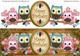Pink Blue Owls Happy Birthday Large Dl Decoupage Topper