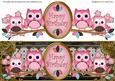 Pink Owls Happy Birthday Large Dl Decoupage Topper