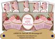 Pink Strawberry 65th Birthday Cupcake Large Dl Card Kit