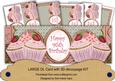 Pink Strawberry 95th Birthday Cupcake Large Dl Card Kit