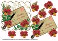 Dark Red Pansy If Wishes Were -  Ink Saver 6in Step by Step