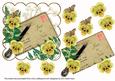 Lemon Pansy Just a Note Ink Saver 6in Step by Step