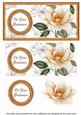 Peach Magnolia Your Graduation Dl Decoupage Topper
