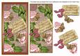 Pink Roses If Friends Were -  Dl Topdown Topper