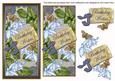 Blue Fushsia Birthday Wishes Dl Topdown Topper